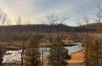 Bluegrass Resort - Nature rich escape, Between the Creation & ARK, Fully equipped kitchen, Pet friendly, Fire pit - Foto 14
