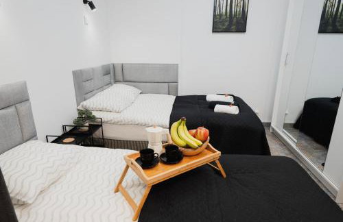 Apartament GÓRSKIE MAZURY w Lagunie Beskidów - Foto 6