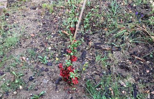 196 rue des moulins - Foto 59