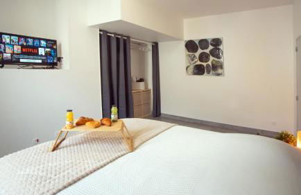 Apparemment t3 au cœur champenois - Foto 19