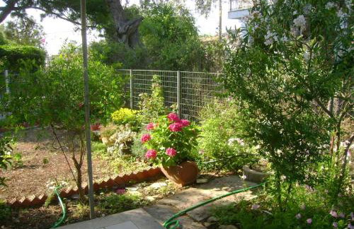 Lefkas house with garden - Foto 14