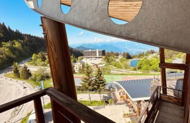 Duplex « les 7 Marmottes », Les Balcons de Recoin - Foto 17