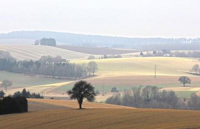 Ferienwohnung Jung und Lind - Photo 12