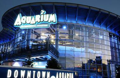 Sandy Private Beach Oasis Close to Kemah Boardwalk & NASA 5 STAR SUPER HOST - Foto 21