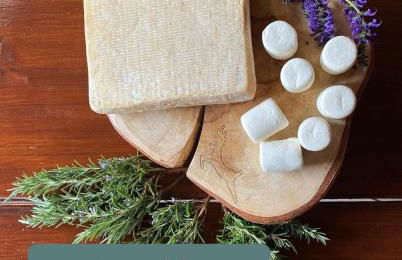 La Boheme, 2 min da Qc terme, free parking - Photo 65