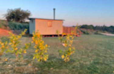 Oakley View Shepherds Hut with hot tub - Photo 36