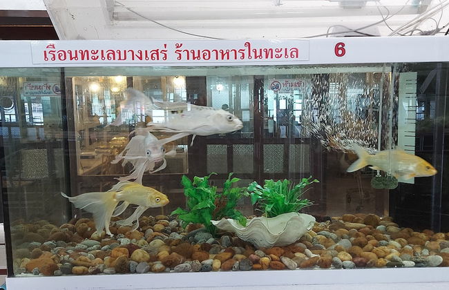 Ruantalay Bangsaray Resort - Foto 33