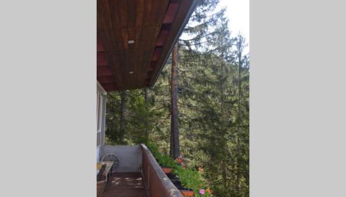 Chalet nel bosco - Foto 5