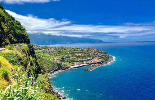 Pereira Place - Foto 15