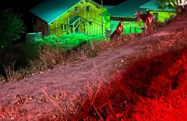 Nid des Cimes - Foto 14