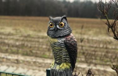 Schöne Auszeit RE14 - Photo 14