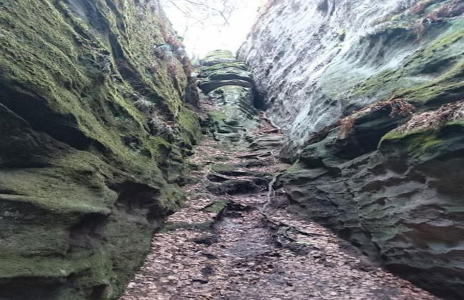 Peaceful Holiday Home in Holin With Garden - Photo 11