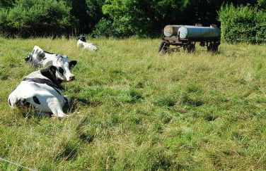 Hossies Hof - Luxus Ferienhaus Scheune - Foto 29
