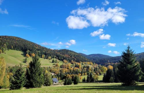 Chata pod Śnieżnikiem - Foto 2