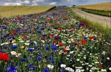 Große Loft im Naturschutzgebiet mit eigenem Garten - Photo 50