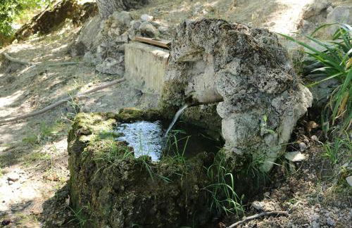 Casas Rurales Cortijo El Marqués - Foto 8