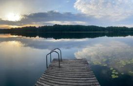 Leśna Oaza - Foto 65