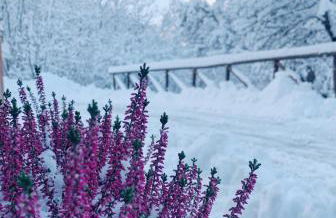 San Marco FARMHOUSE with a view. - Photo 42