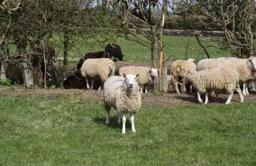 The Rectory Lacock Cottages - Foto 14