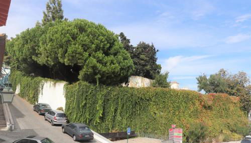 Casa Gil Vicente - Foto 4