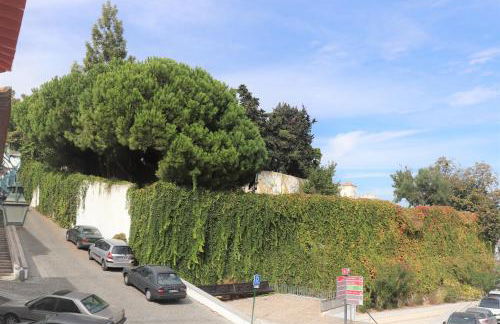 Casa Gil Vicente - Foto 4