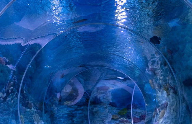 Ingresso do Aquário Emaar - Foto 1