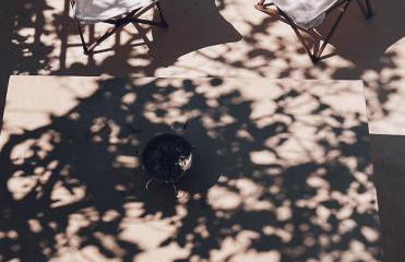 ALFIEA HOME 65m2 & ALFIEA STUDIO 35m2 - Foto 50