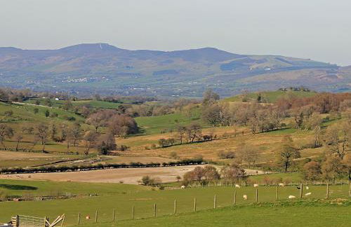 Siambr Wen - Uk2780 - Photo 13