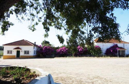 Quinta do Sanguinhal - Foto 47