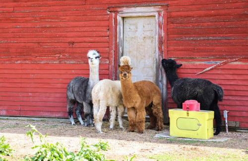 Beatrice Studio with Fire Pit Near Golf! - Foto 29