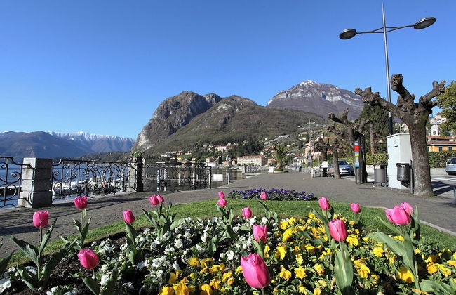 Rustico Logo Bellavista - Foto 33