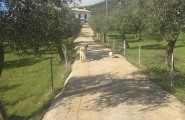 Huerta Carrión, Finca en El Pedroso - Foto 70