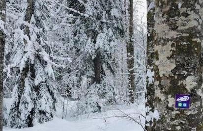 L'étable du Vercors - Foto 40