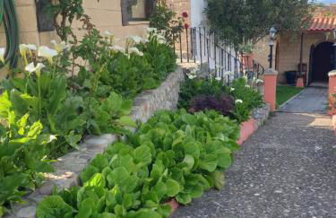 CASA TURÍSTICA Villa Carmen, CON AMPLIO JARDIN QUE INCLUYE BARBACOA, 2 PORCHES, PARKING PRIVADO Y PISCINA - Foto 49