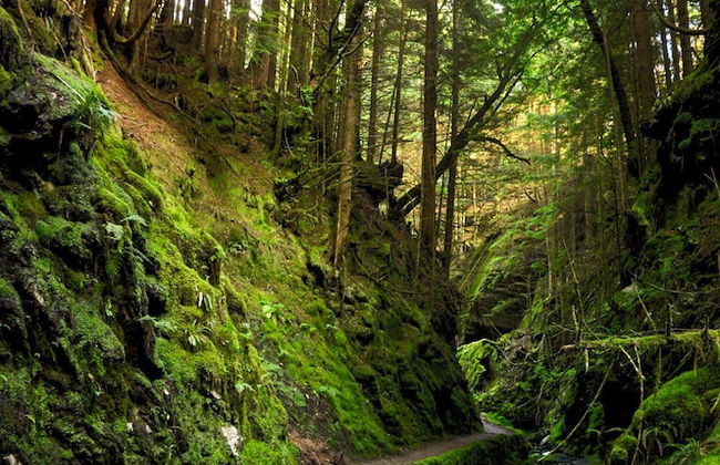 Old Kilmun House - Foto 56