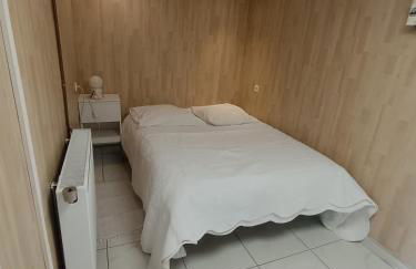 Limeil-Brévannes RER A gare Boissy Saint Léger Disney land - Foto 7