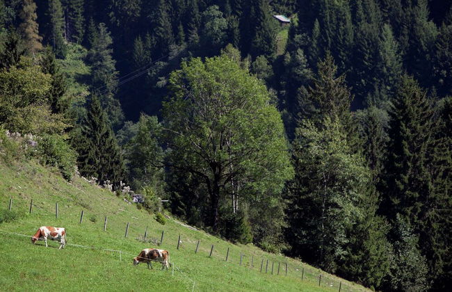 Chalet in Sankt Johann Near Ski Lift - Foto 13