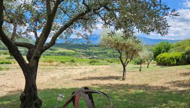 ferme bernicat gite ventoux - Foto 2