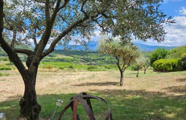 ferme bernicat gite ventoux - Foto 2
