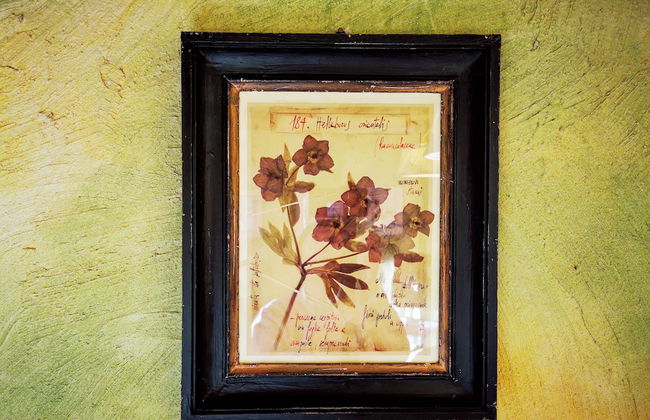 Oasi di Galbusera Bianca - Foto 52