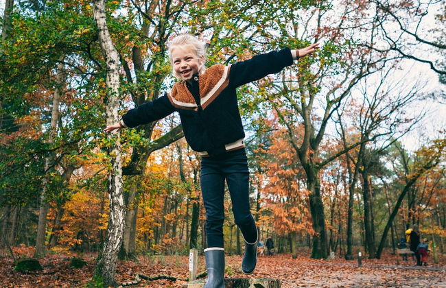 Comfy Bungalow near Bosland Nature Reserve - Foto 26