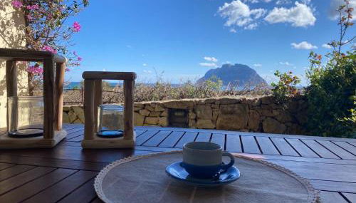 Villa con vista Porto San Paolo - Foto 5, Garden