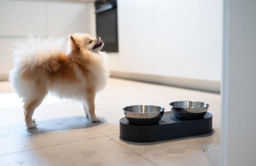 House 756 Mainz: Families, Friends & Business – Sauna, Parking, Near Messe & Airport - Photo 16