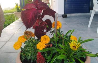 Sea view villa - Foto 39