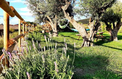 Can Santalo - Foto 9