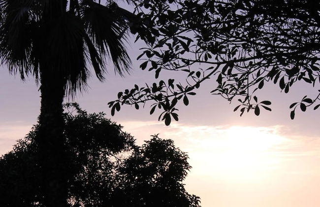 Apart Hotel Caminos del Inca - Foto 14