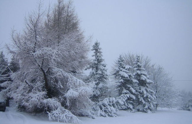 Holiday Home Zinnwald Large - Foto 9