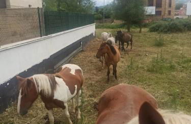 Alojamiento fiordos leoneses Boñar - Foto 24