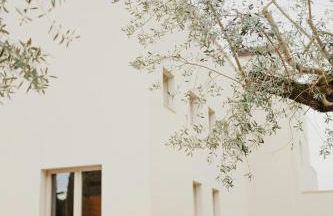 Modern House Among Spoltore Olive Trees - Foto 36