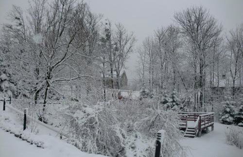 Lawendowa Dolina - Foto 13